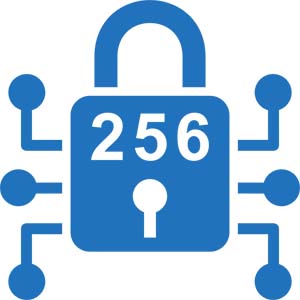 Bank grade encryption at 256 bit