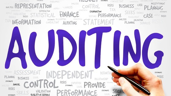 Cost-Auditing