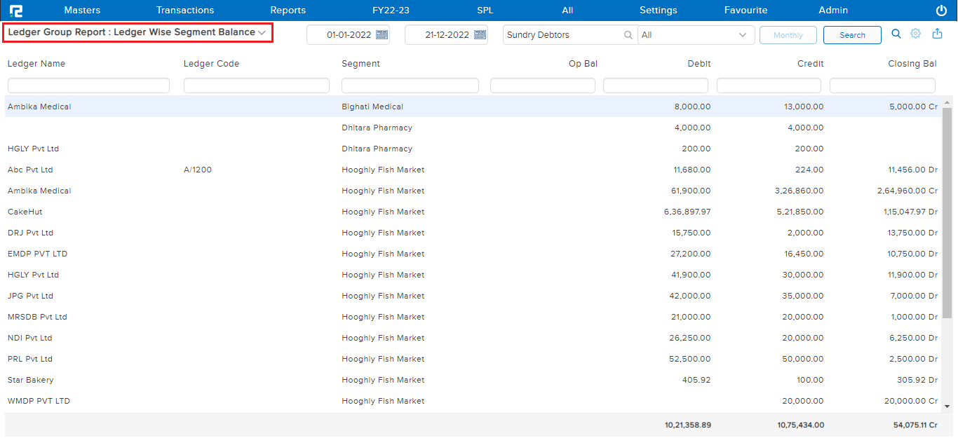 ledger wise segment balance